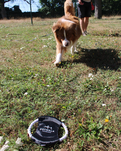 petWALK dog throwing disc
